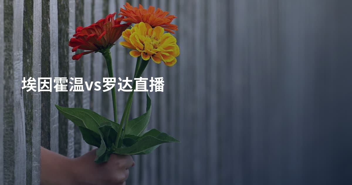 埃因霍温vs罗达直播