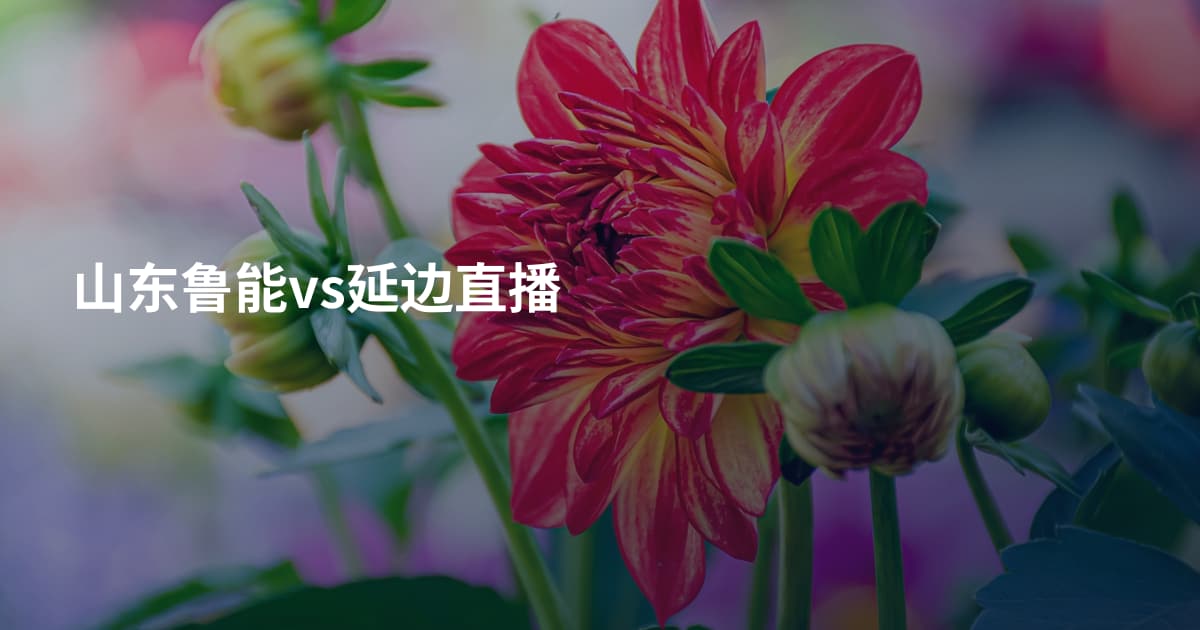 山东鲁能vs延边直播