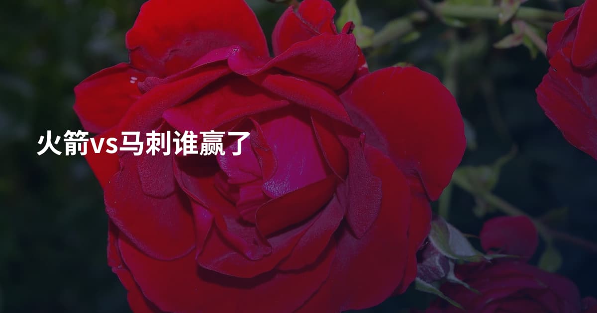 火箭vs马刺谁赢了