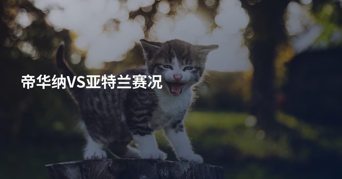 帝华纳VS亚特兰赛况