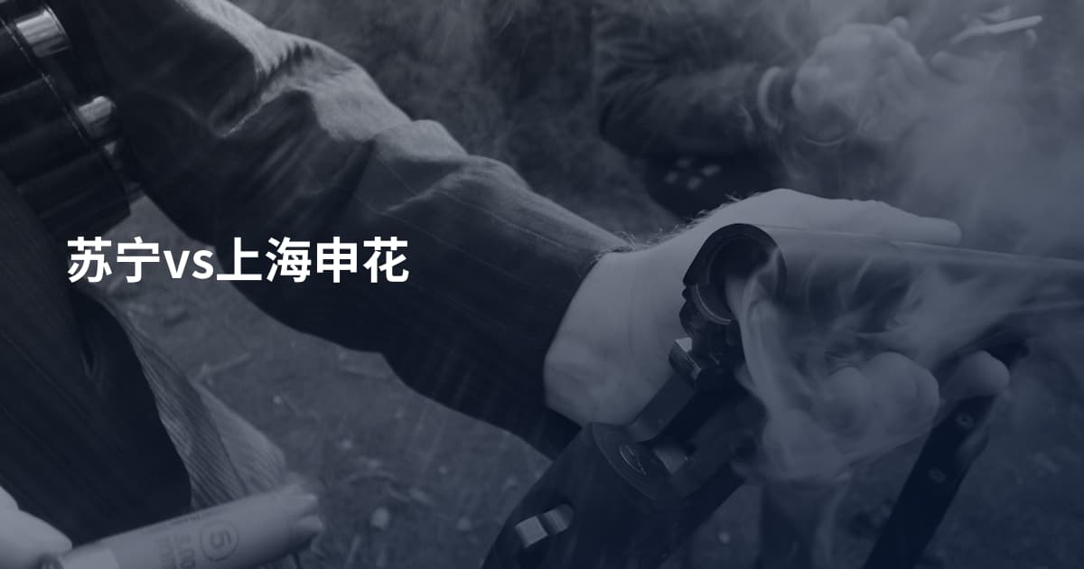 苏宁vs上海申花