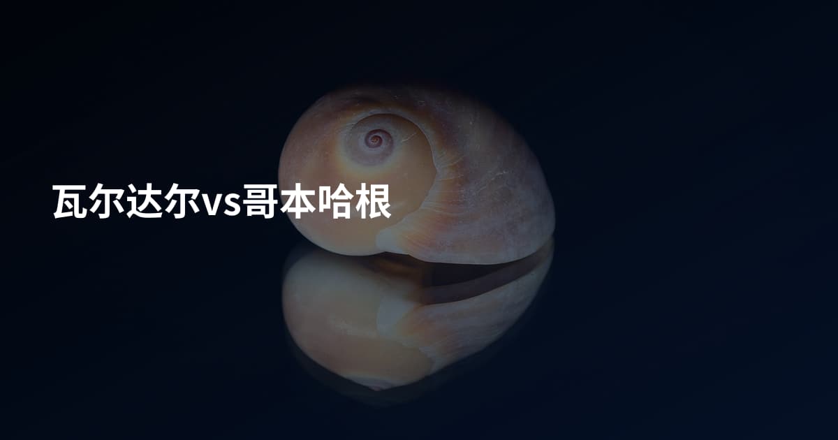 瓦尔达尔vs哥本哈根