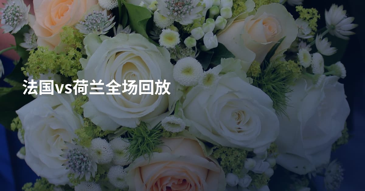 法国vs荷兰全场回放