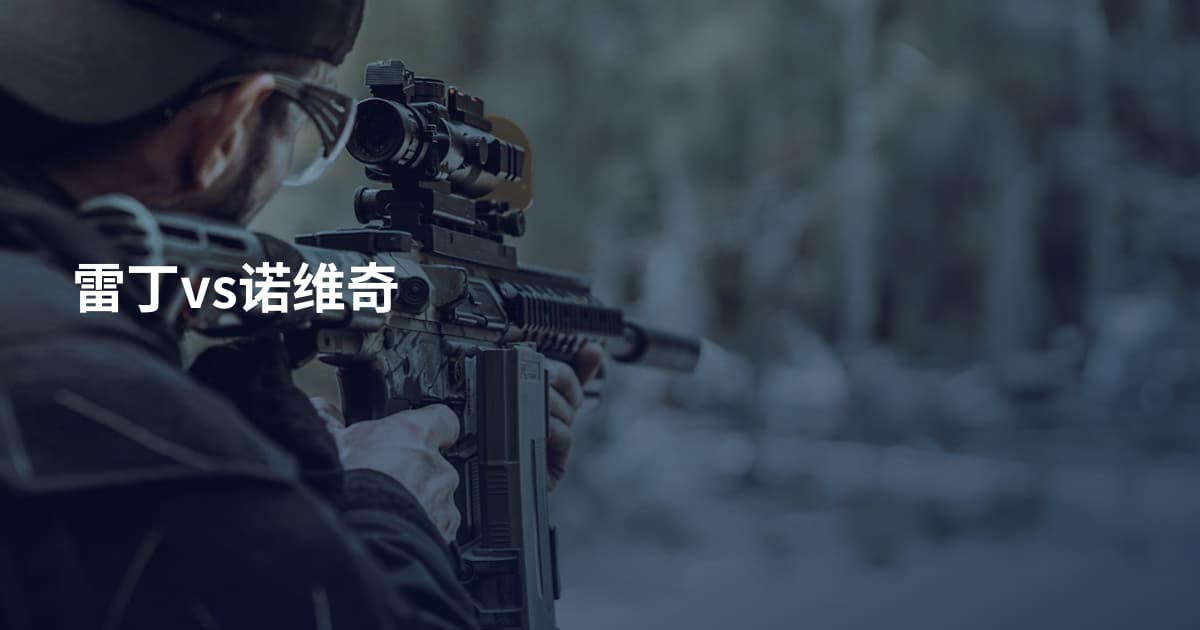 雷丁vs诺维奇