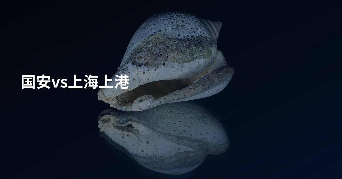国安vs上海上港
