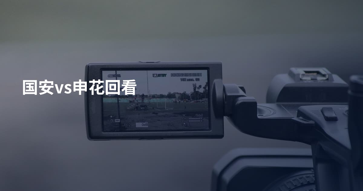 国安vs申花回看