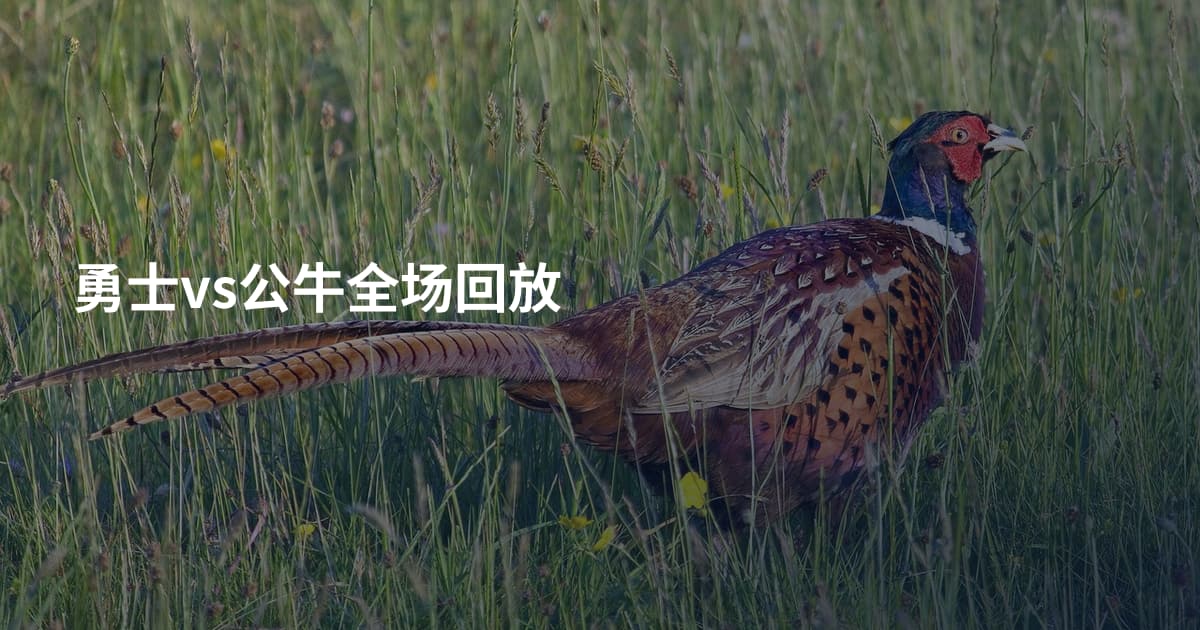 勇士vs公牛全场回放