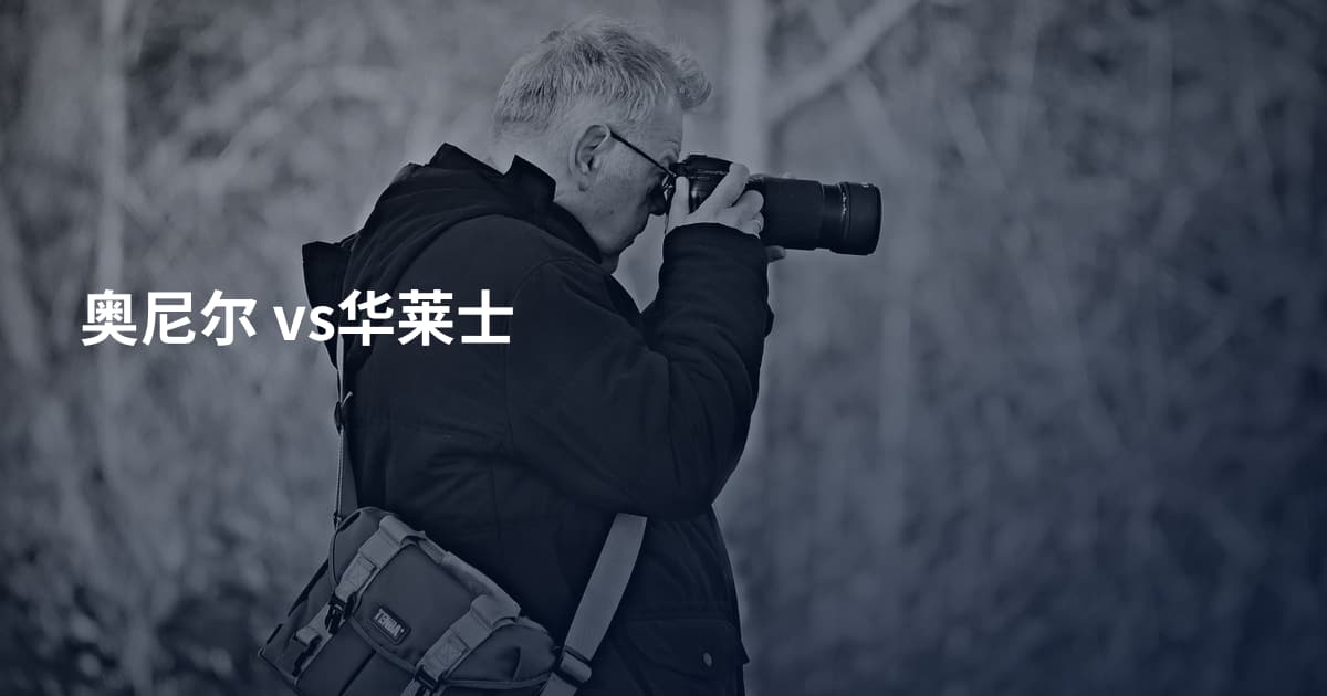奥尼尔 vs华莱士