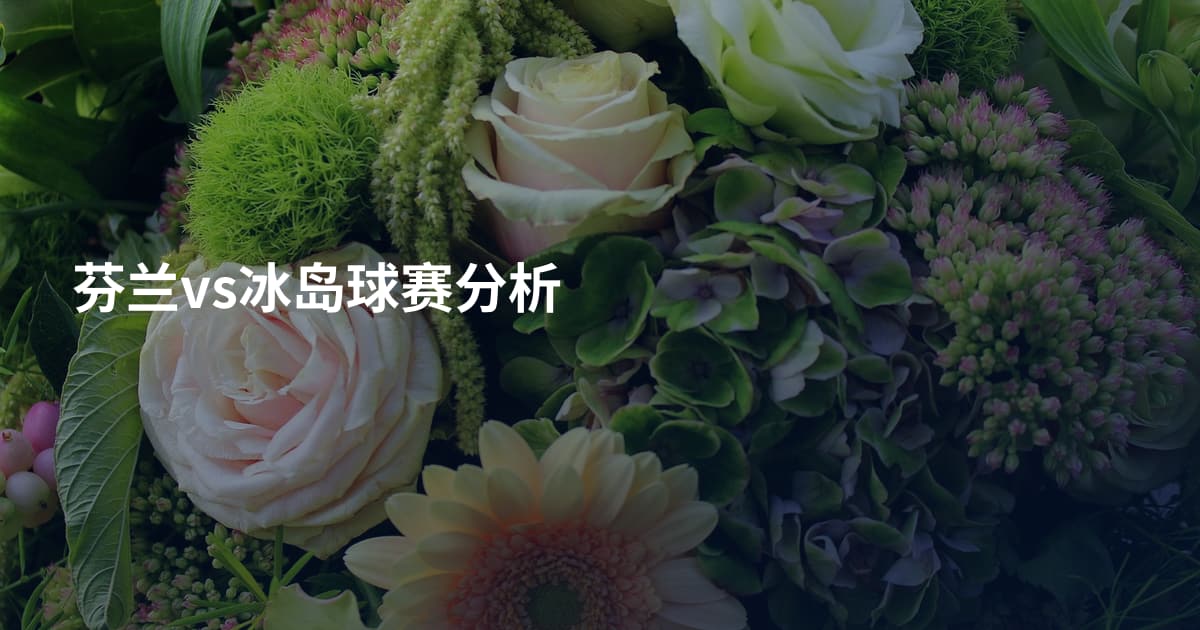芬兰vs冰岛球赛分析