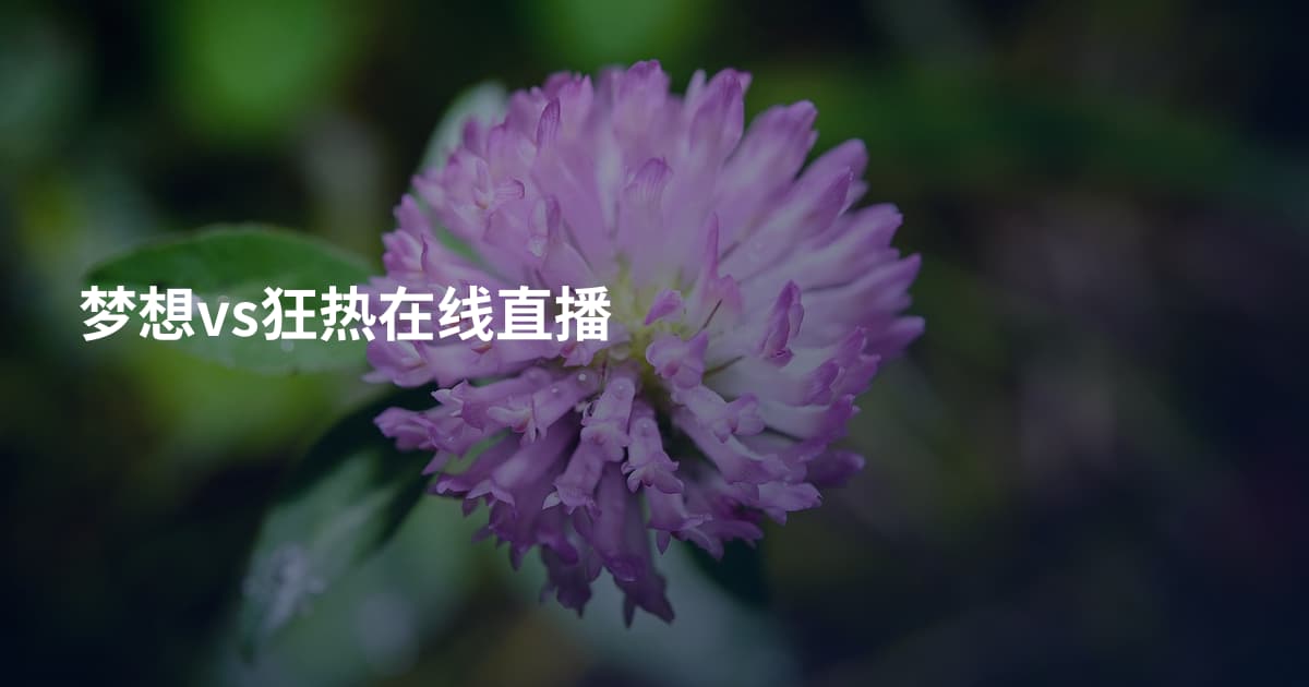 梦想vs狂热在线直播