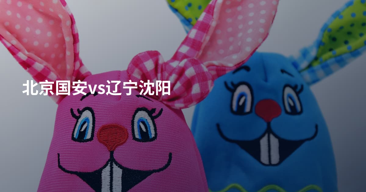 北京国安vs辽宁沈阳