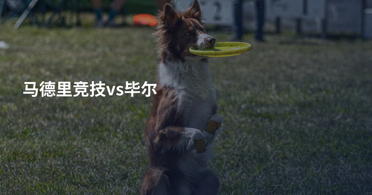 马德里竞技vs毕尔
