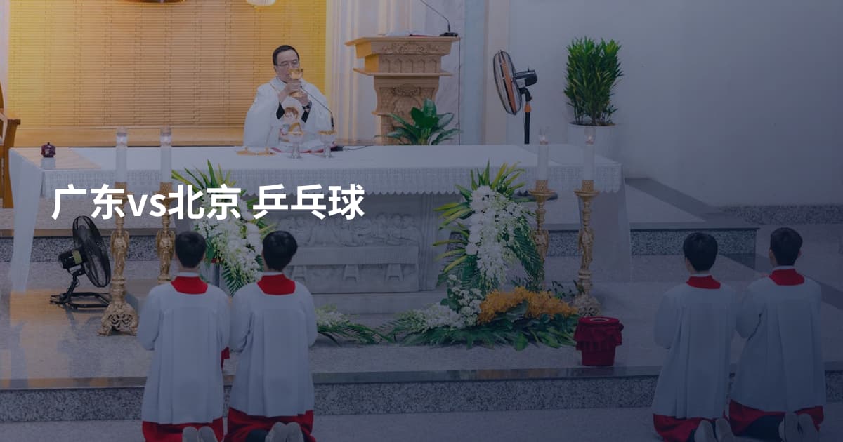 广东vs北京 乒乓球