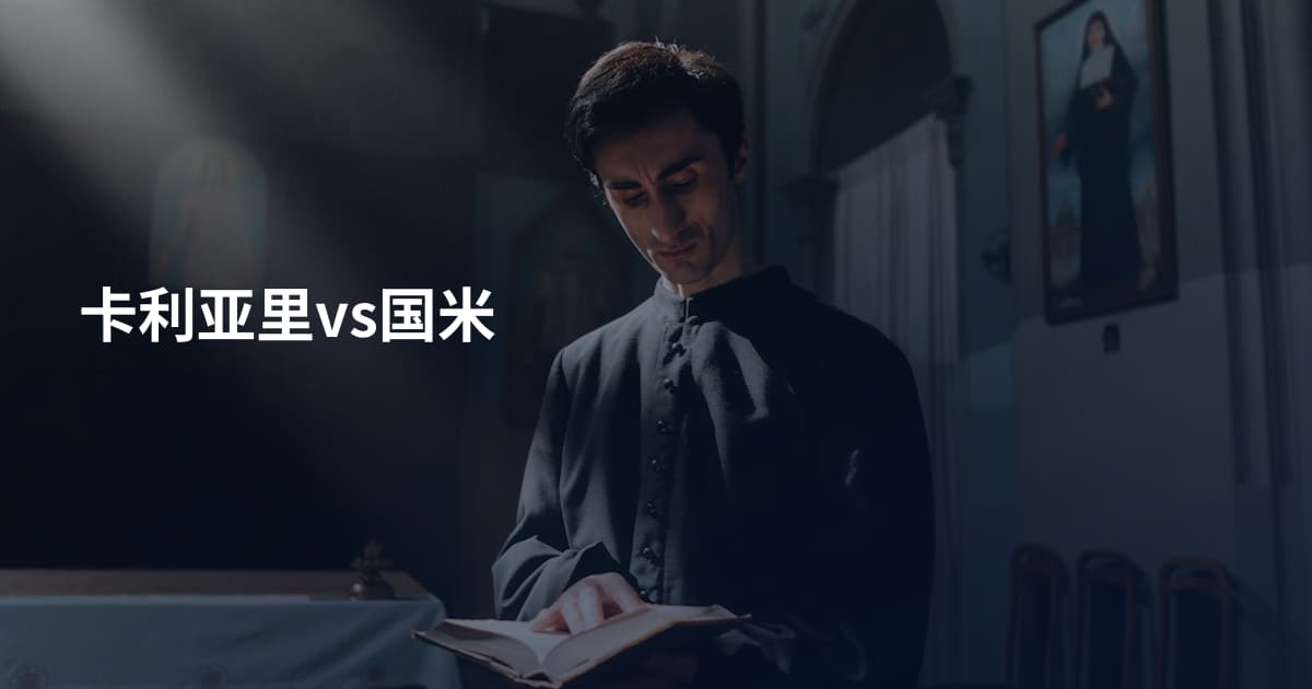 卡利亚里vs国米