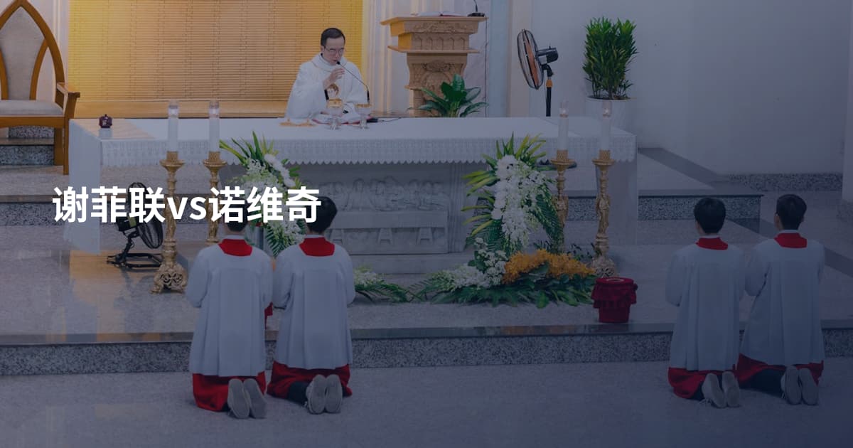 谢菲联vs诺维奇
