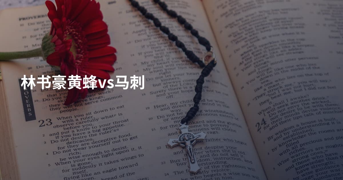 林书豪黄蜂vs马刺