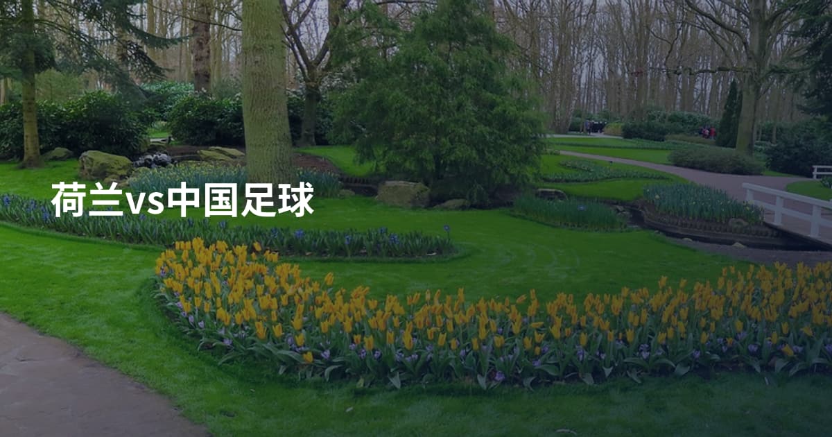 荷兰vs中国足球