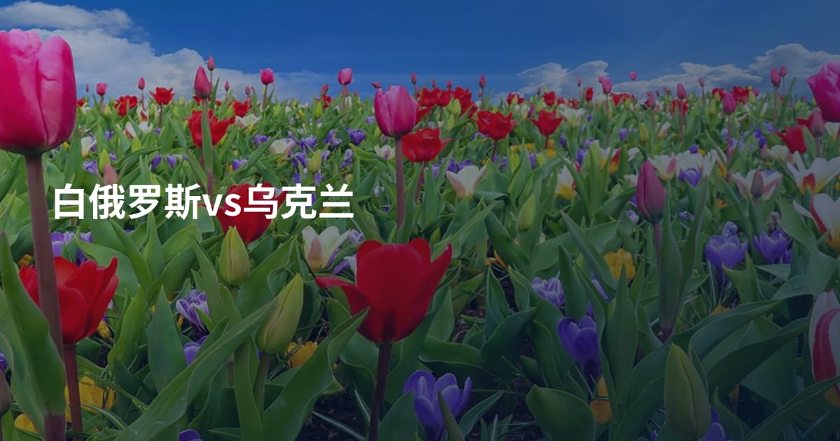 白俄罗斯vs乌克兰