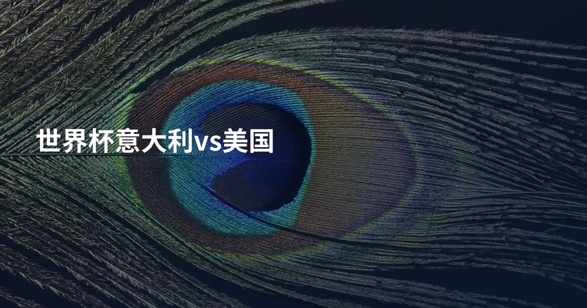 世界杯意大利vs美国