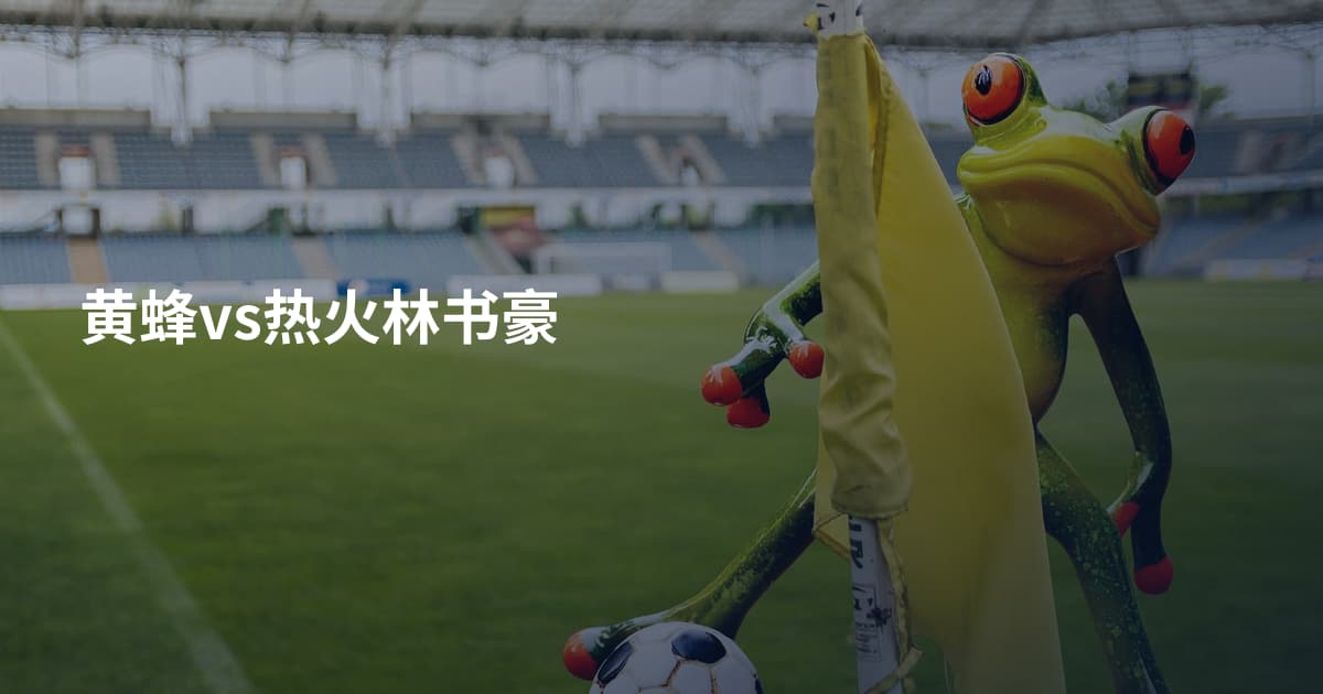 黄蜂vs热火林书豪