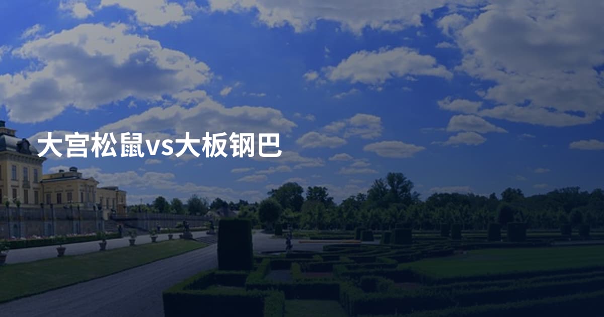 大宫松鼠vs大板钢巴
