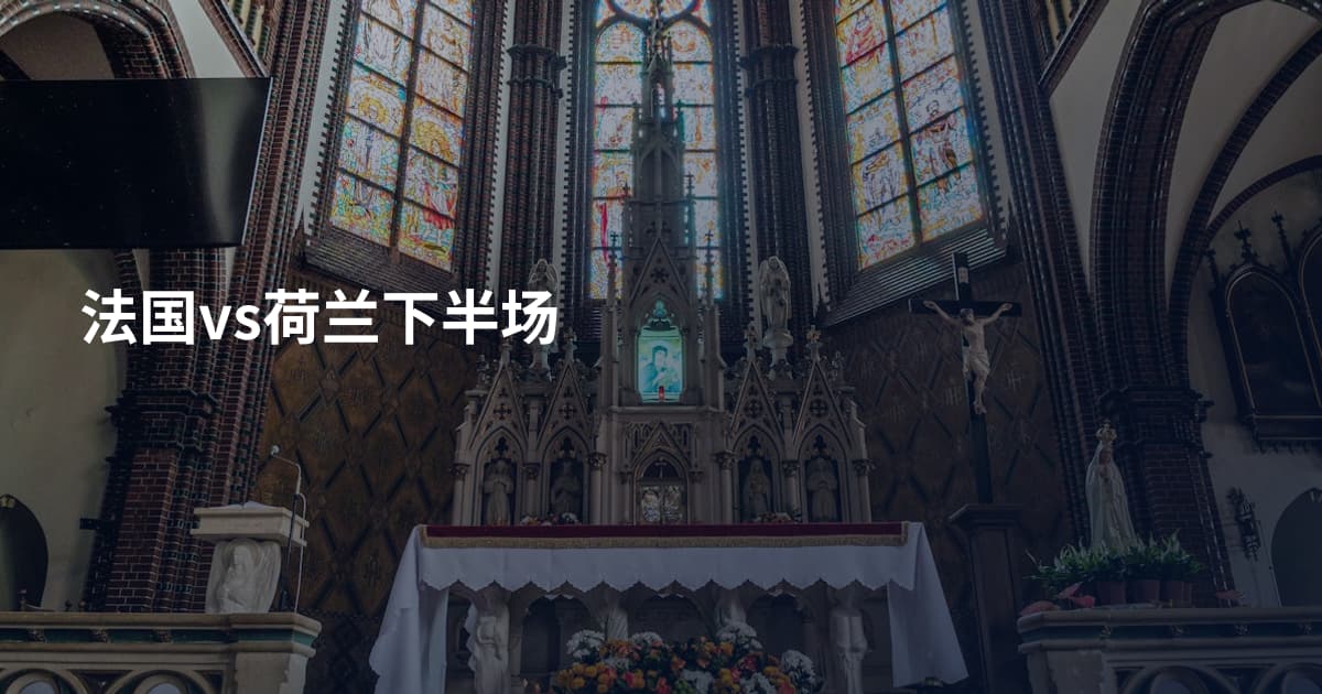 法国vs荷兰下半场
