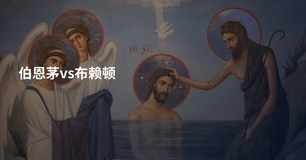 伯恩茅vs布赖顿