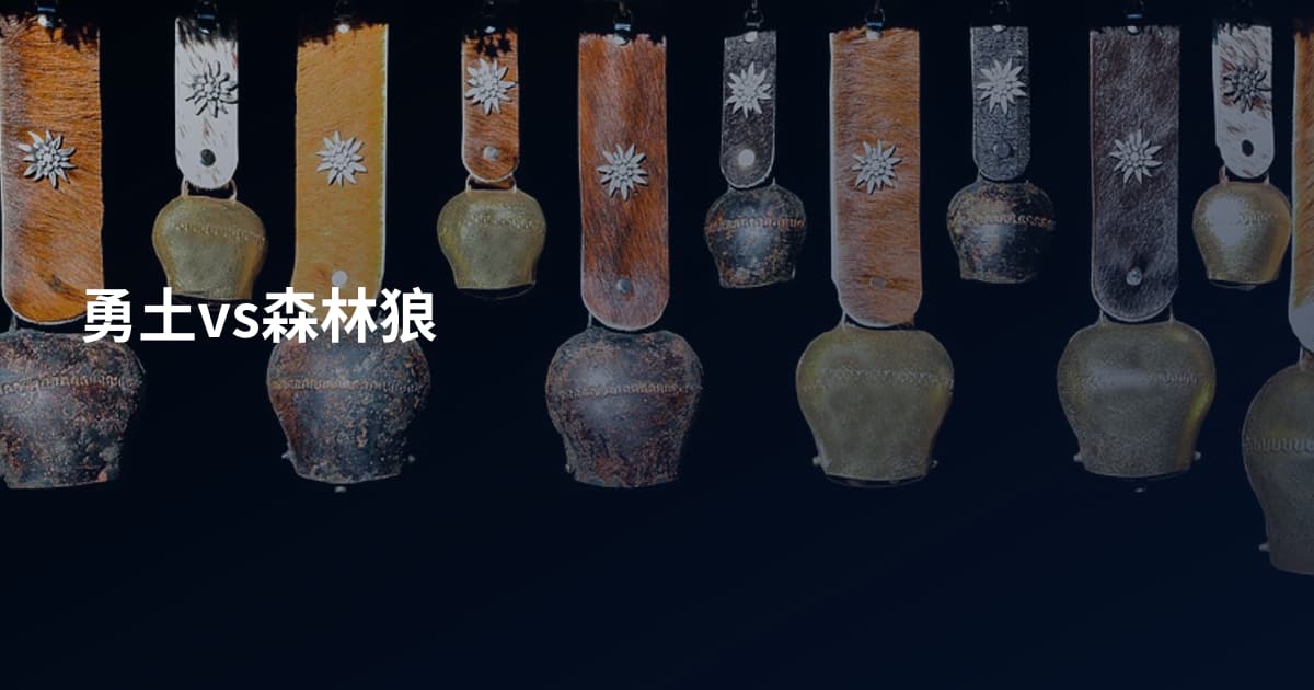 勇土vs森林狼