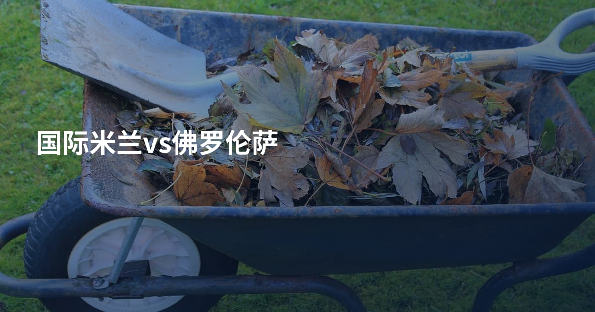 国际米兰vs佛罗伦萨