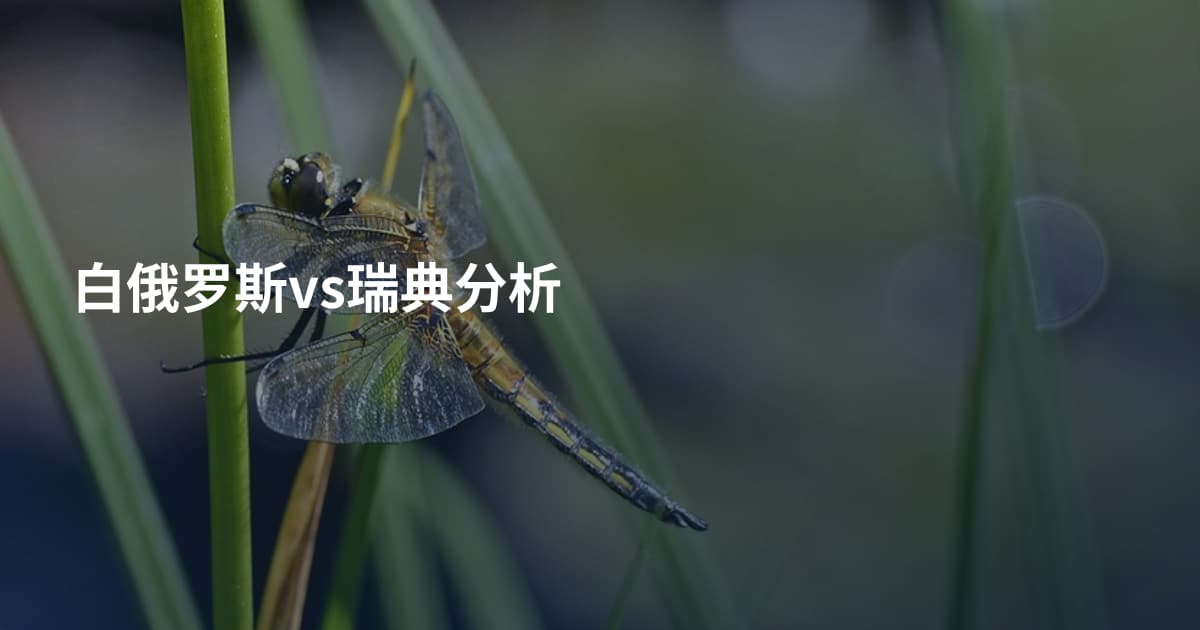 白俄罗斯vs瑞典分析