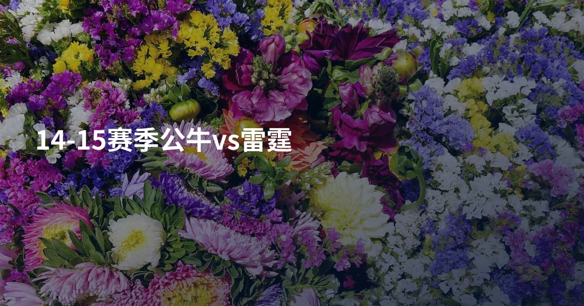 14-15赛季公牛vs雷霆