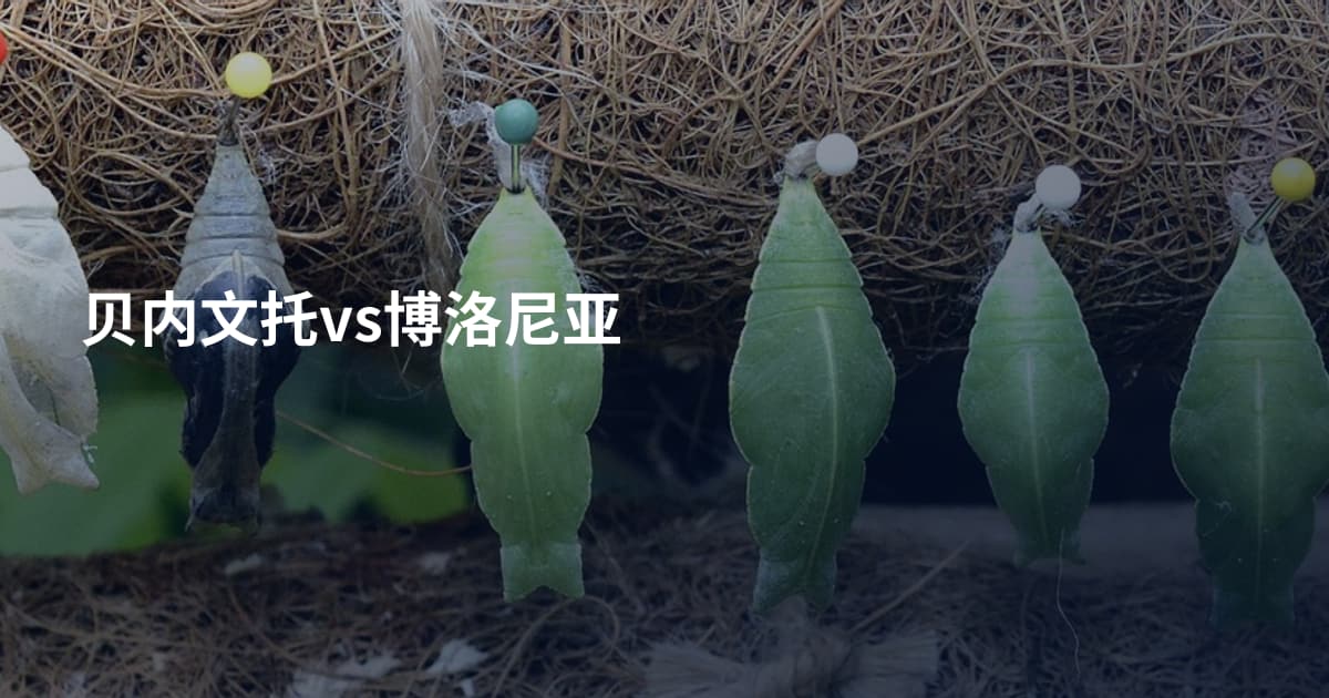 贝内文托vs博洛尼亚