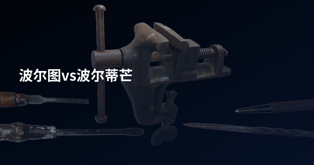 波尔图vs波尔蒂芒