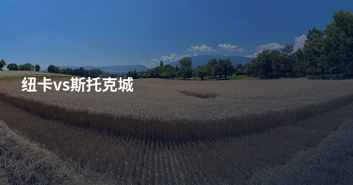 纽卡vs斯托克城