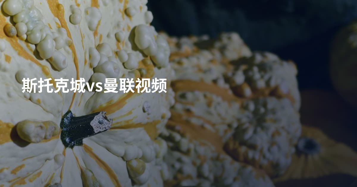 斯托克城vs曼联视频