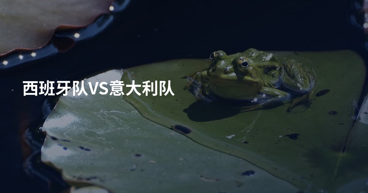 西班牙队VS意大利队