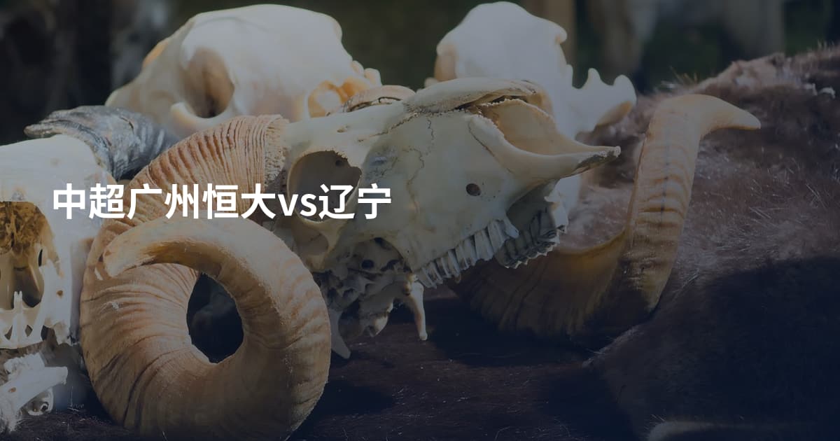 中超广州恒大vs辽宁