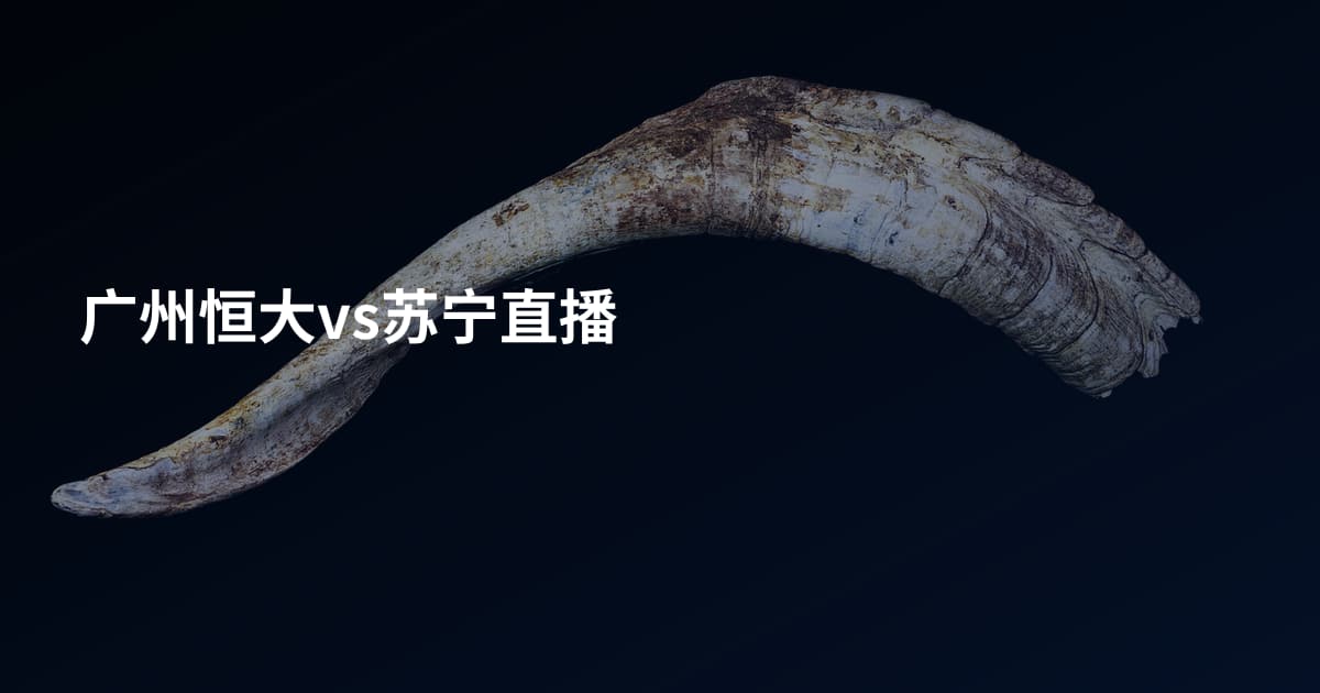 广州恒大vs苏宁直播