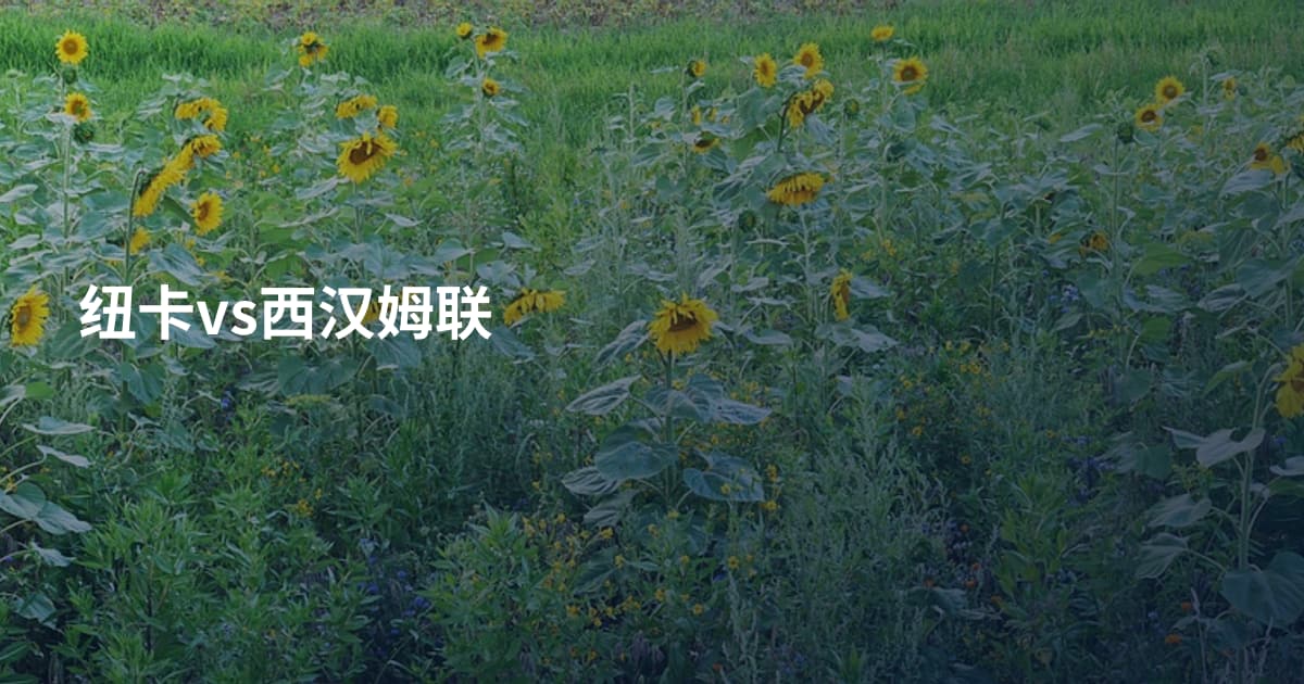 纽卡vs西汉姆联