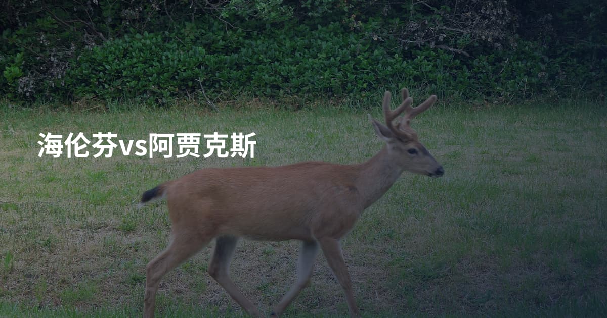 海伦芬vs阿贾克斯