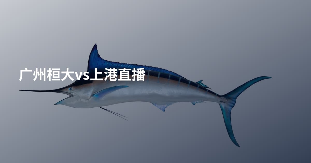 广州桓大vs上港直播