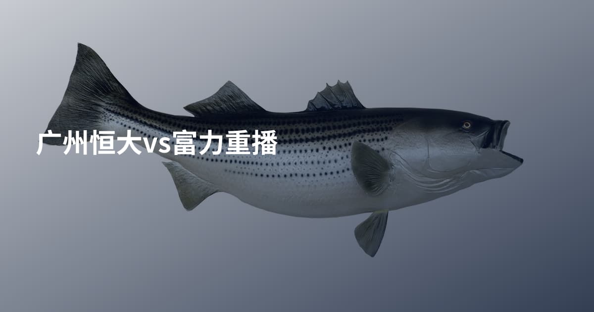 广州恒大vs富力重播