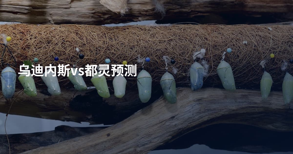 乌迪内斯vs都灵预测