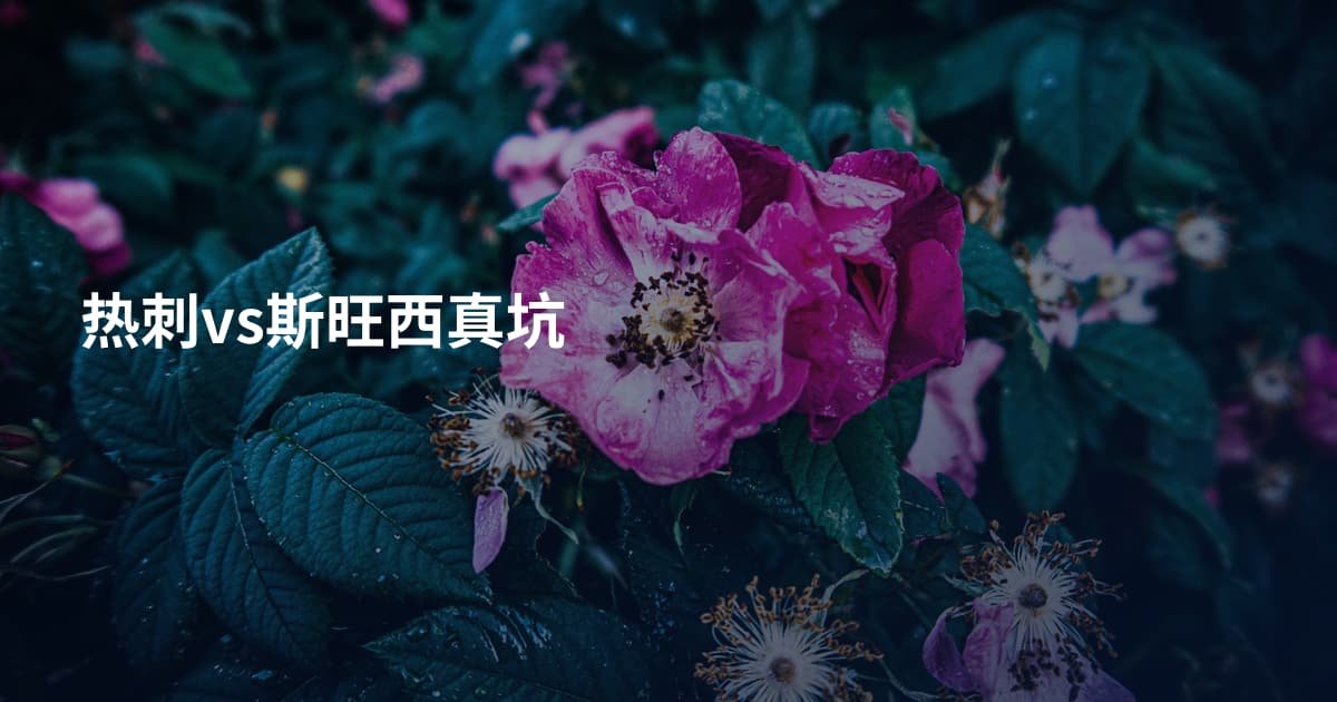 热刺vs斯旺西真坑