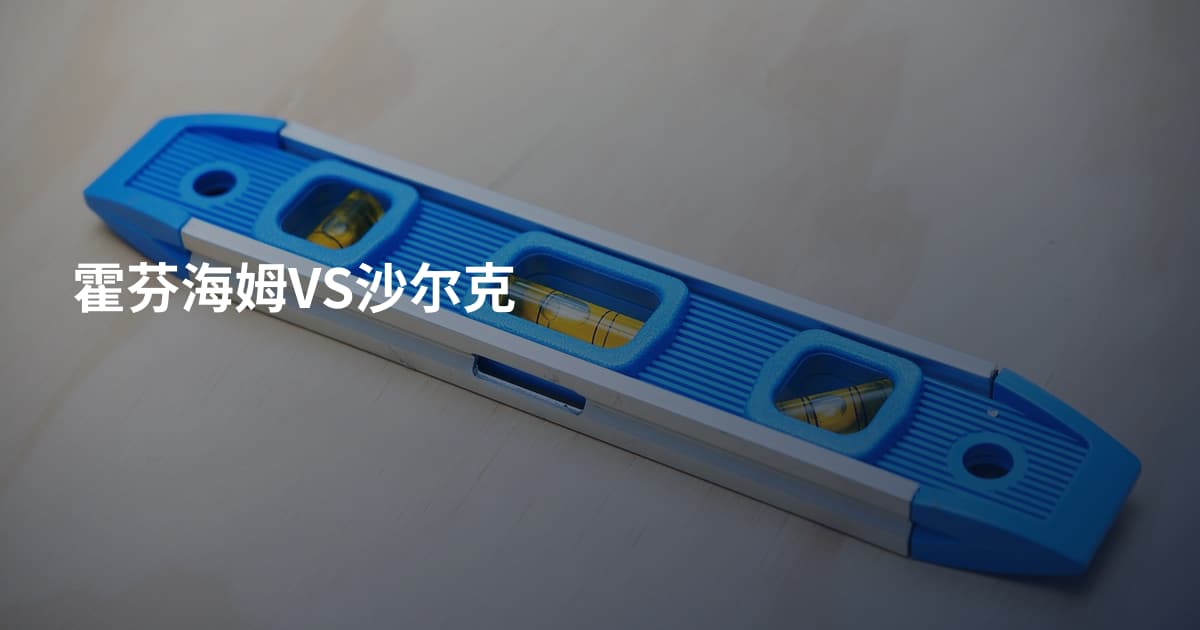 霍芬海姆VS沙尔克