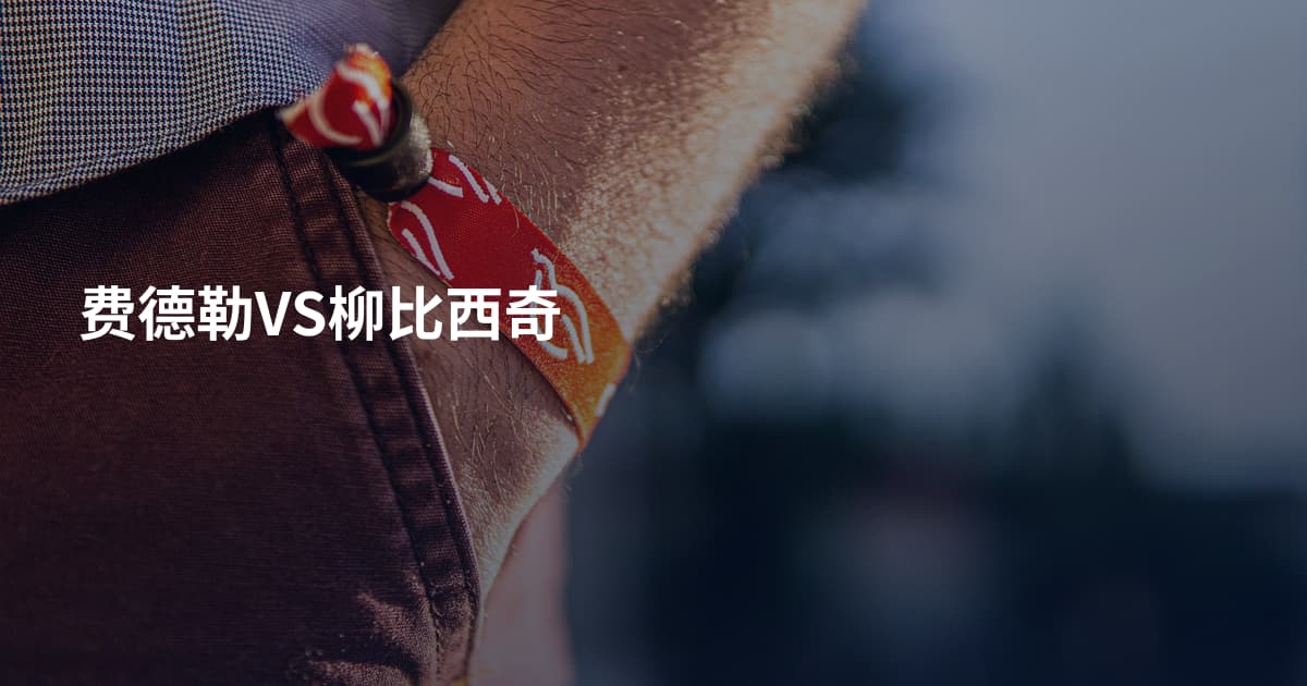 费德勒VS柳比西奇