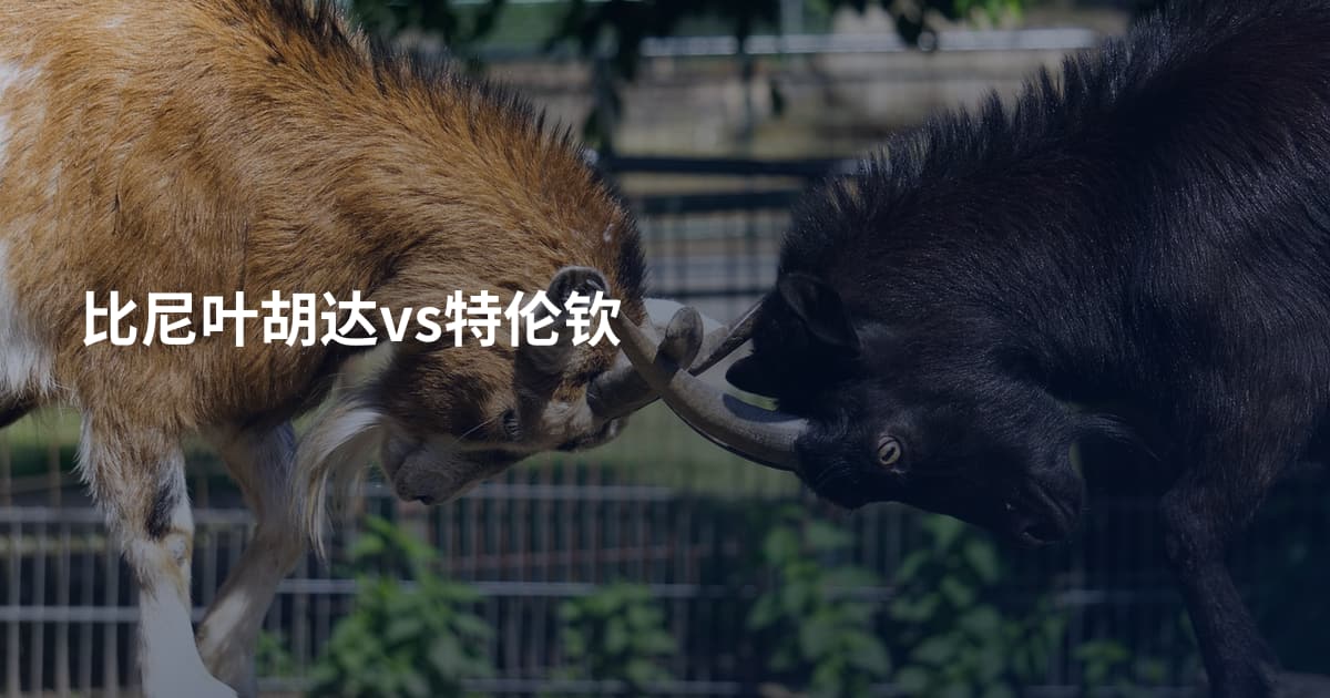 比尼叶胡达vs特伦钦