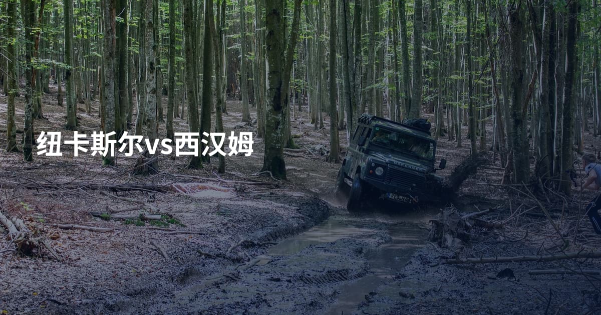 纽卡斯尔vs西汉姆