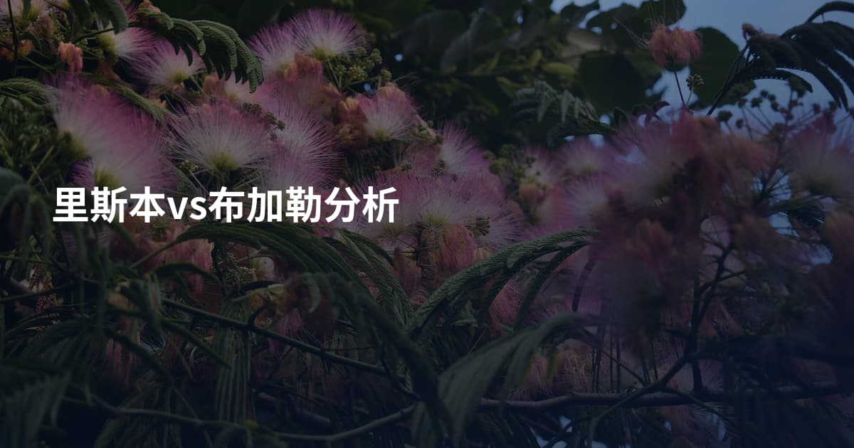 里斯本vs布加勒分析