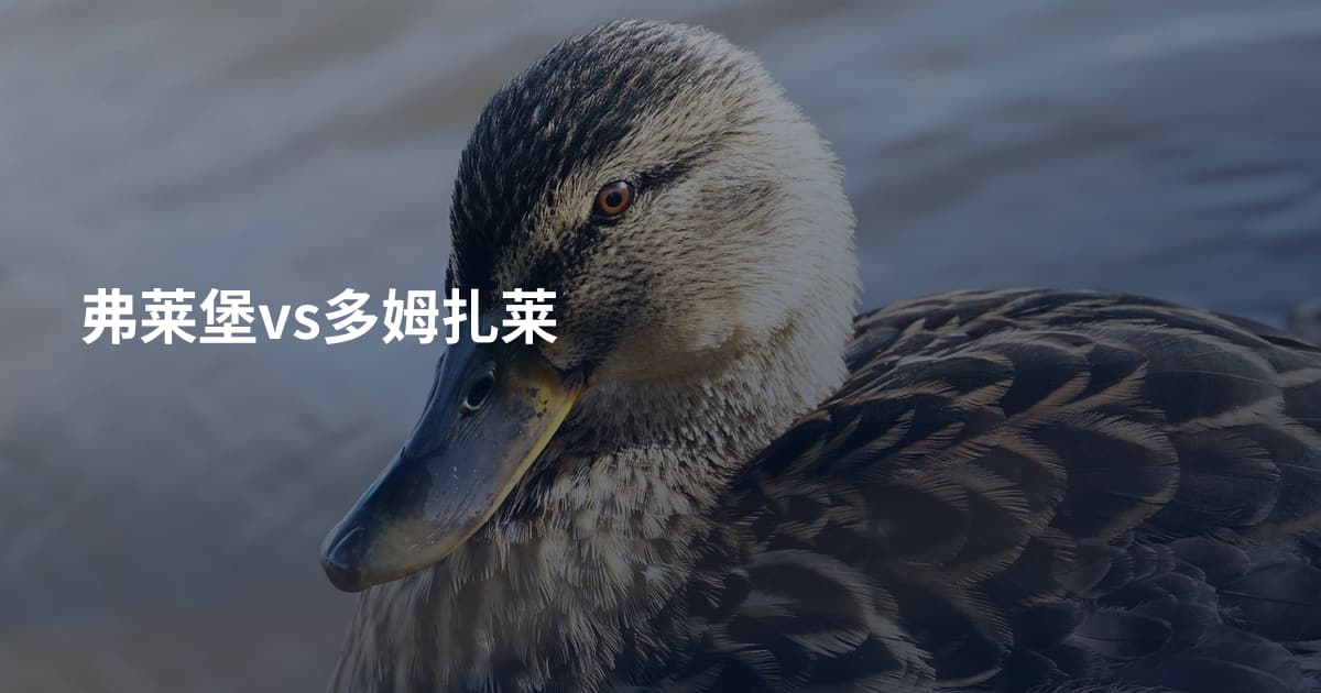 弗莱堡vs多姆扎莱